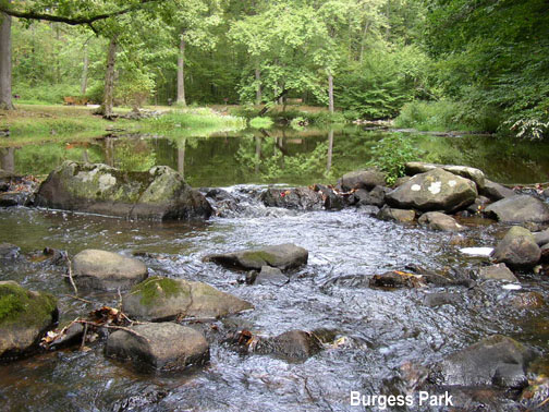 Creek at burgess